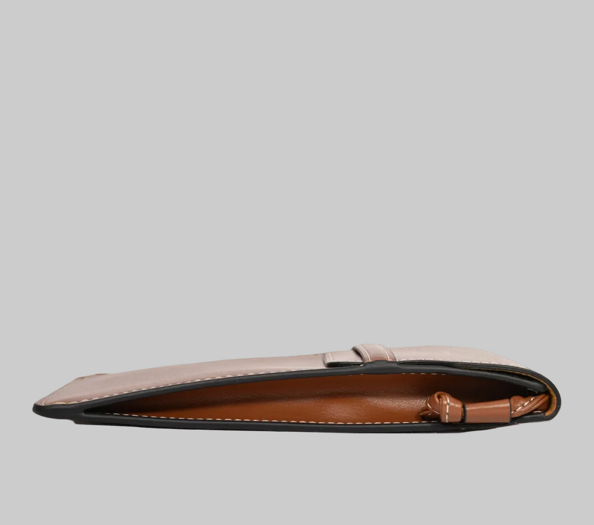 CÉLINE Sunglass Crossbody Pouch