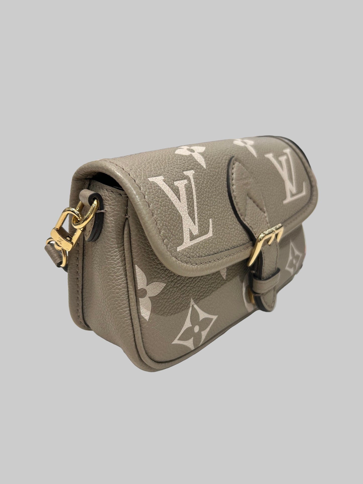 LOUIS VUITTON Nano Diane