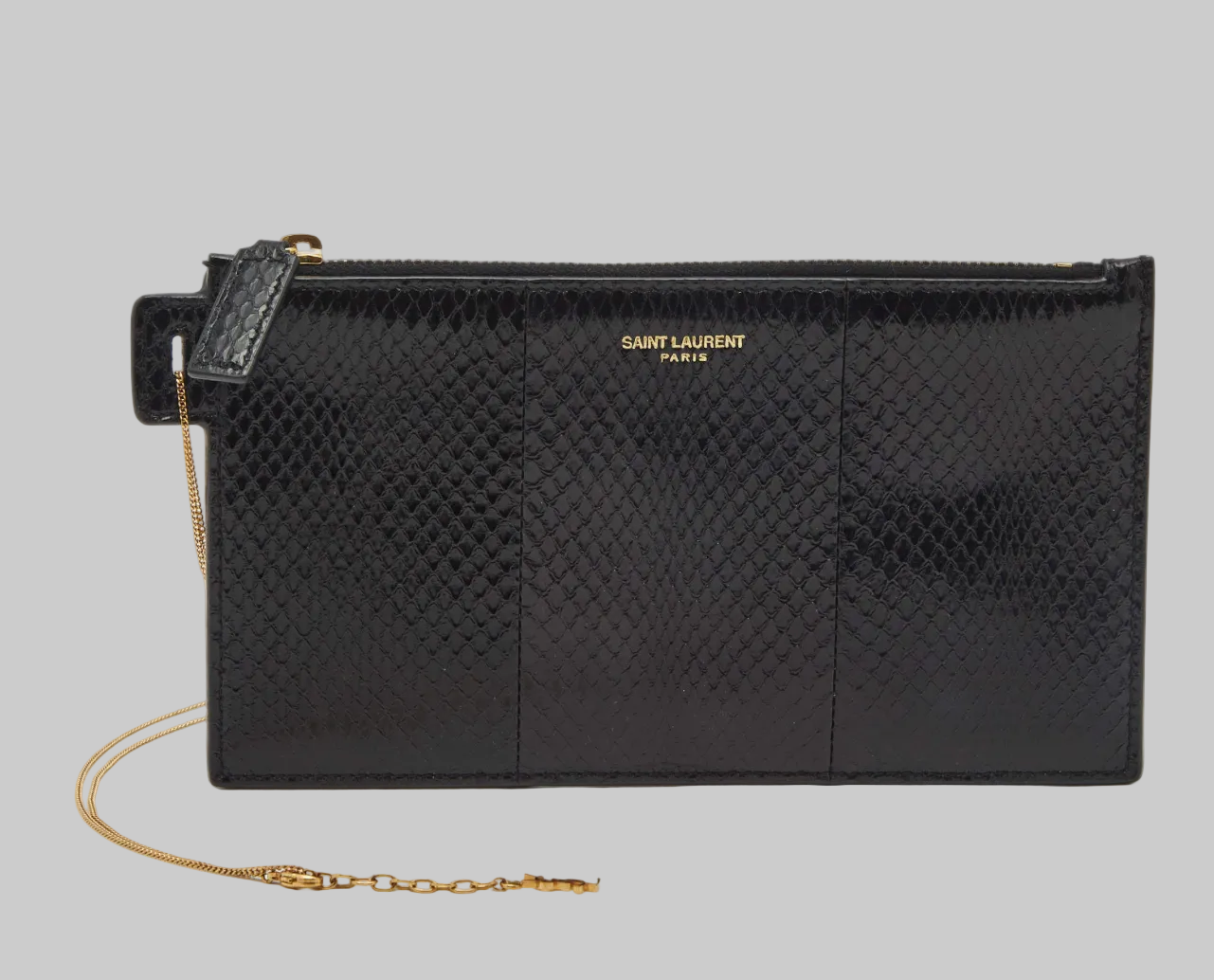 SAINT LAURENT Ayers Watersnake Leather Chain Pouch