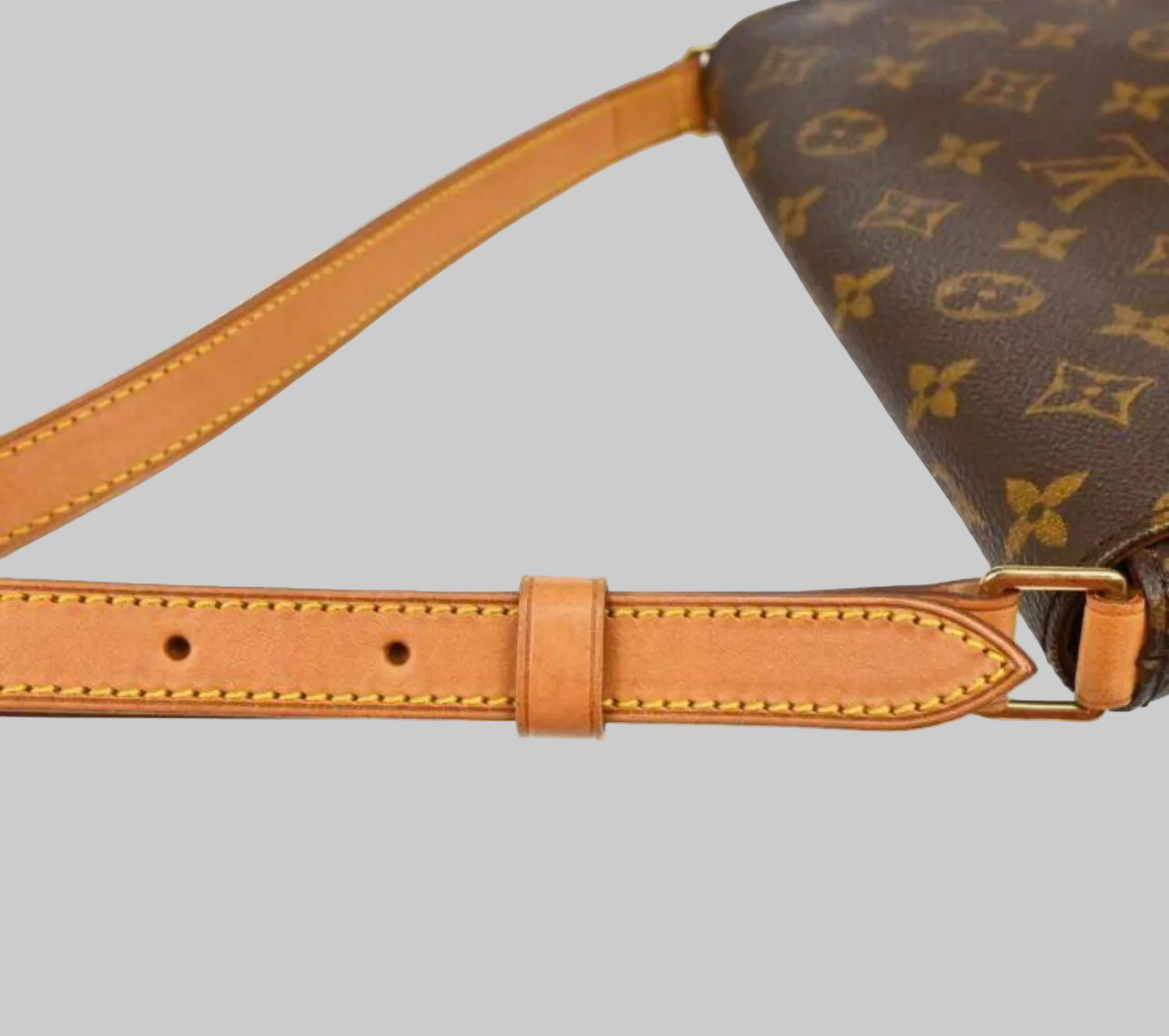 LOUIS VUITTON Musette Tango Satchel