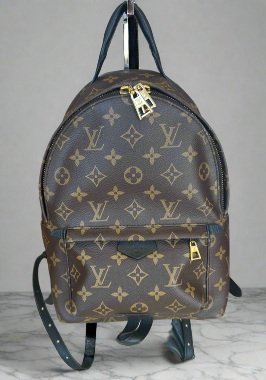 Louis Vuitton Monogram Palm Springs PM Backpack