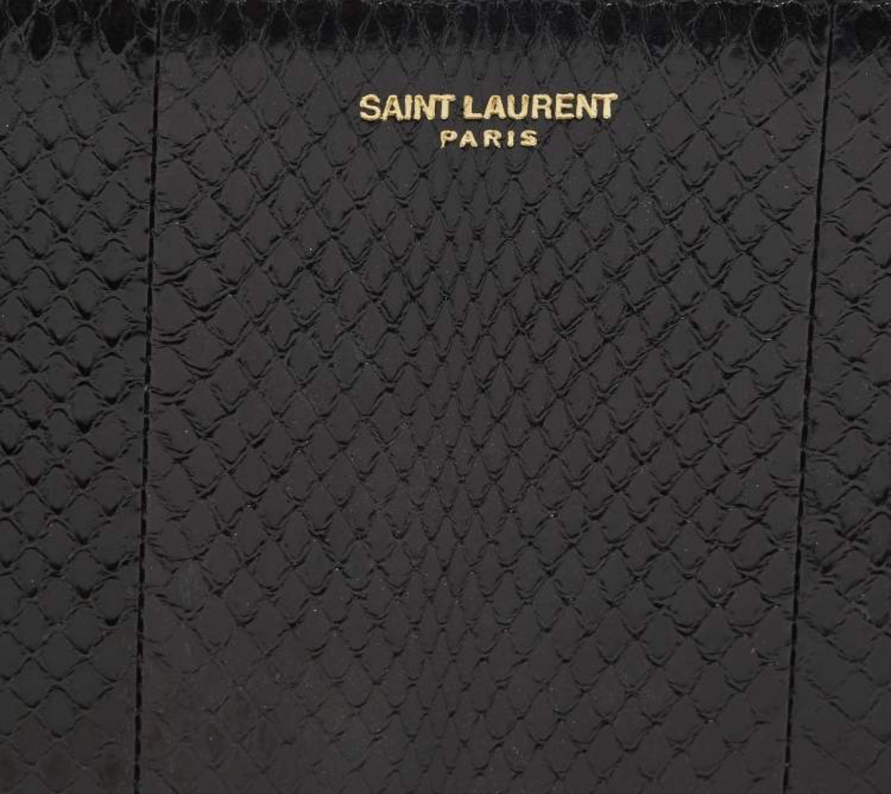 SAINT LAURENT Ayers Watersnake Leather Chain Pouch