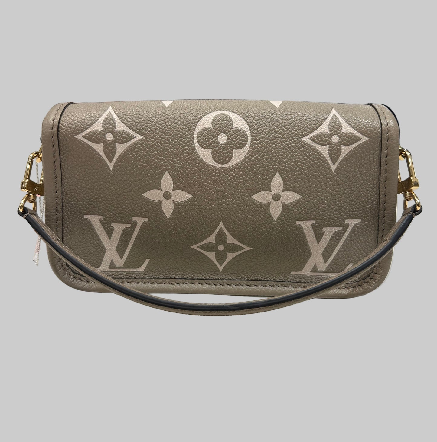 LOUIS VUITTON Nano Diane