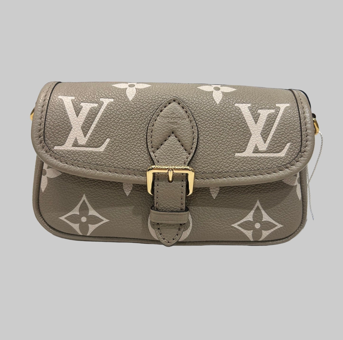 LOUIS VUITTON Nano Diane