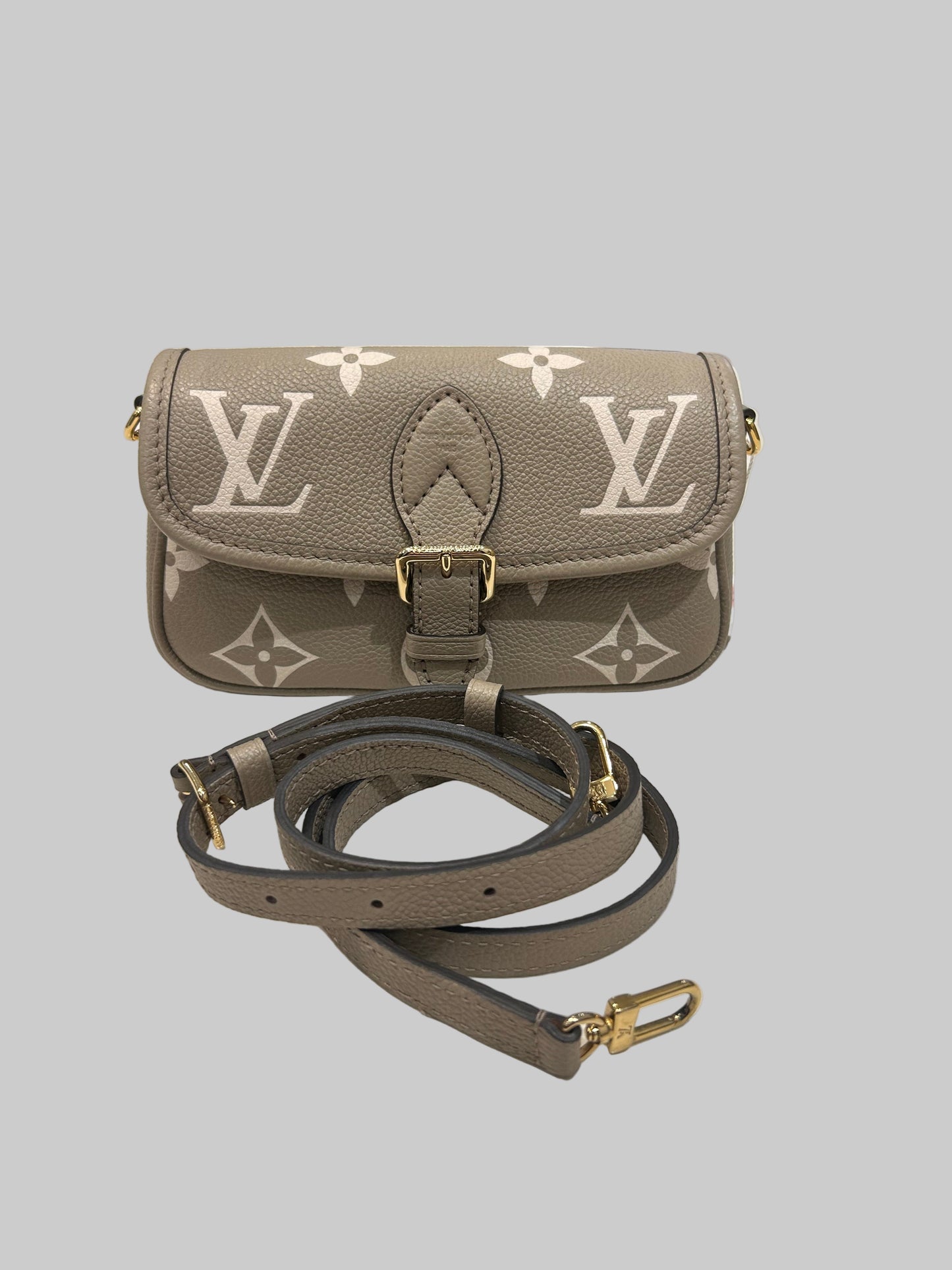 LOUIS VUITTON Nano Diane