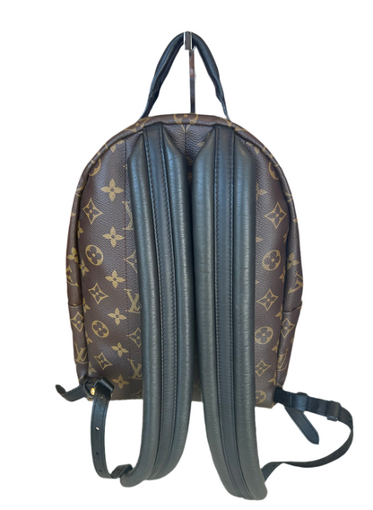 Louis Vuitton Monogram Palm Springs PM Backpack