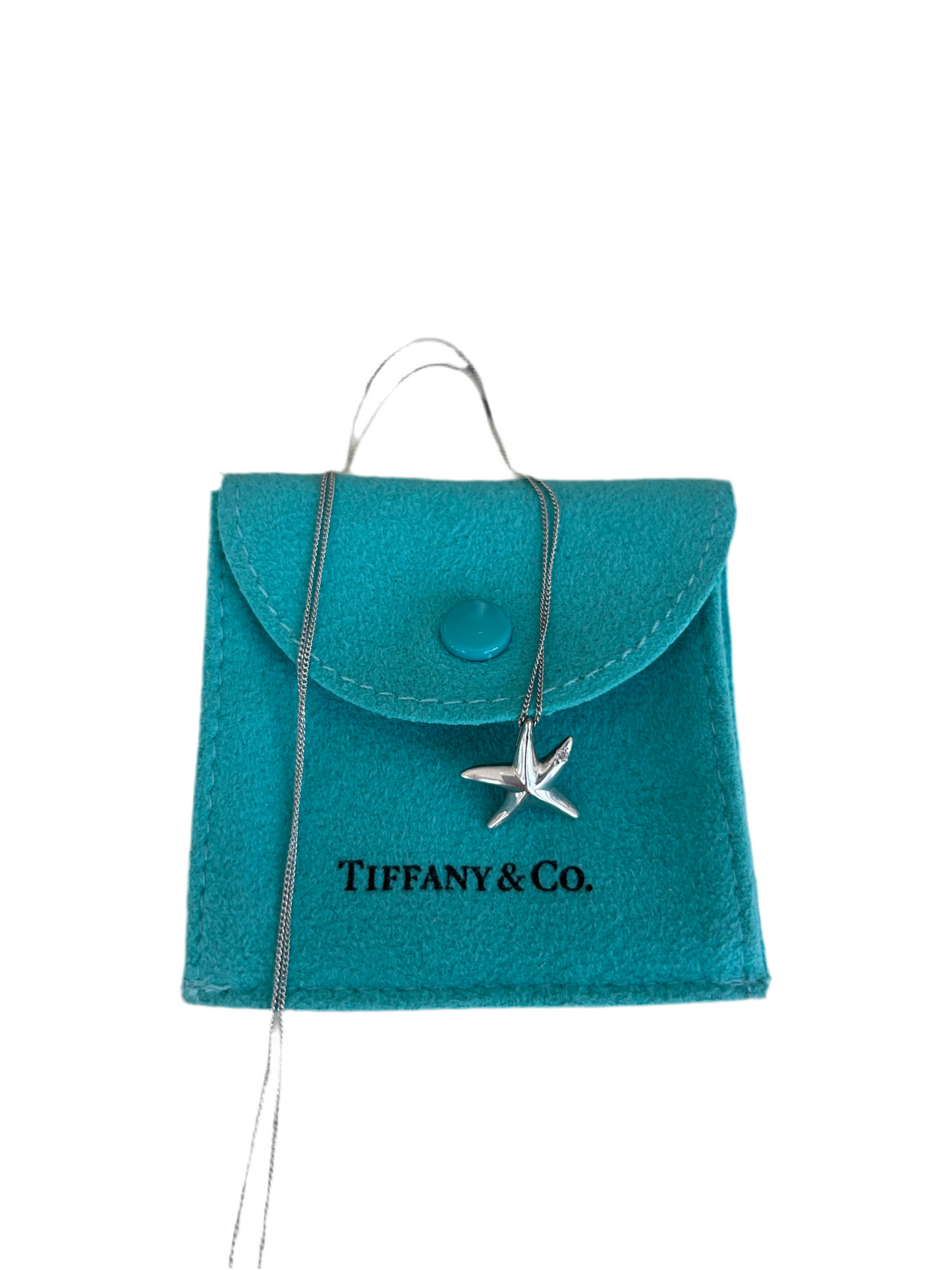 Elsa Peretti Starfish Pendant - TIFFANY