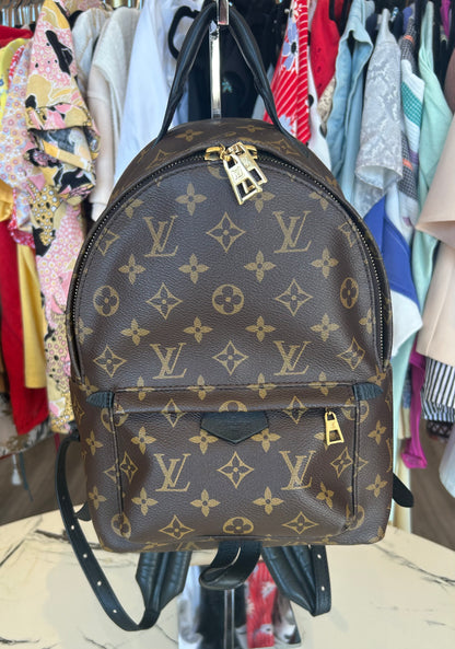 Louis Vuitton Monogram Palm Springs PM Backpack