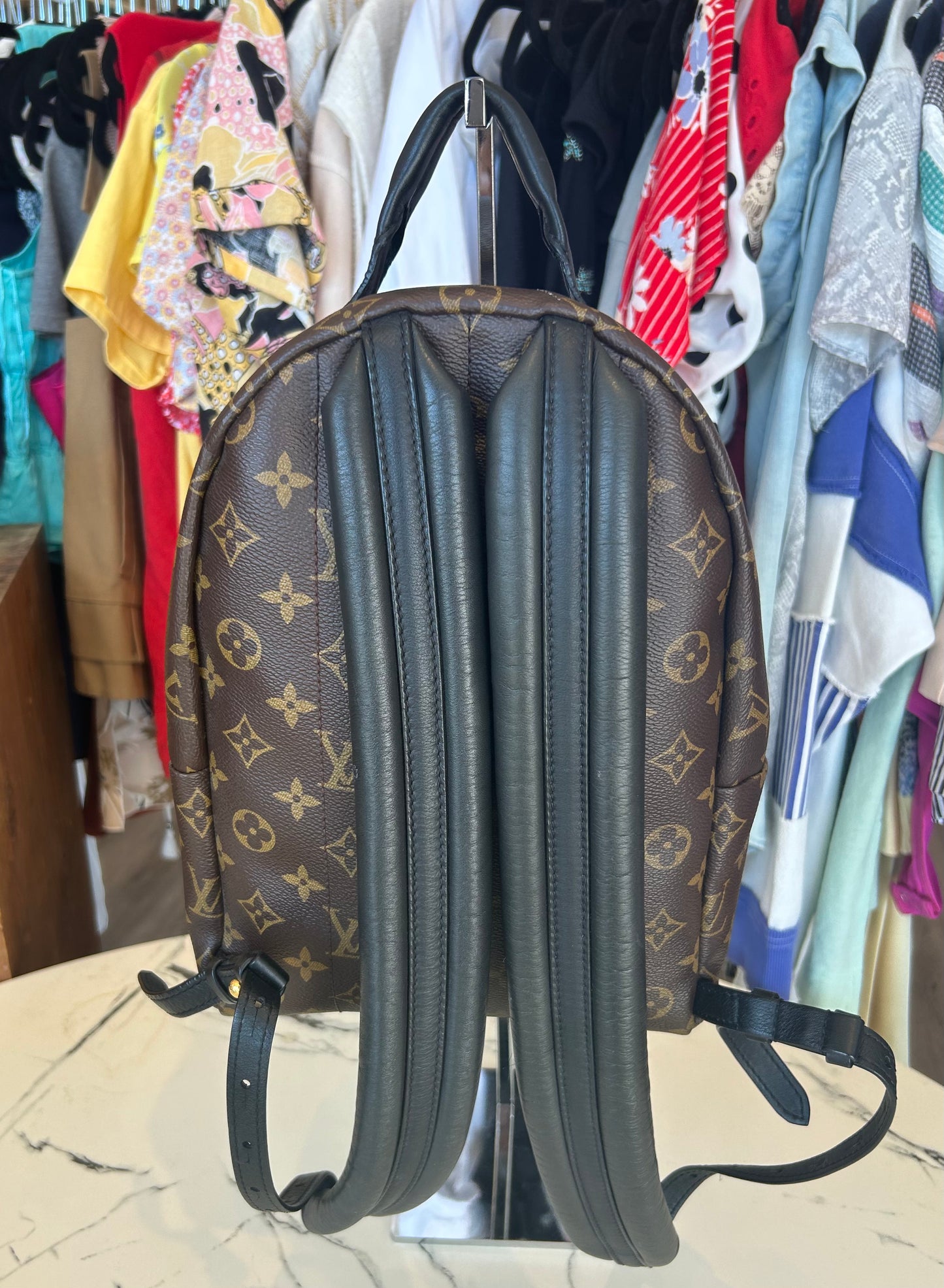 Louis Vuitton Monogram Palm Springs PM Backpack