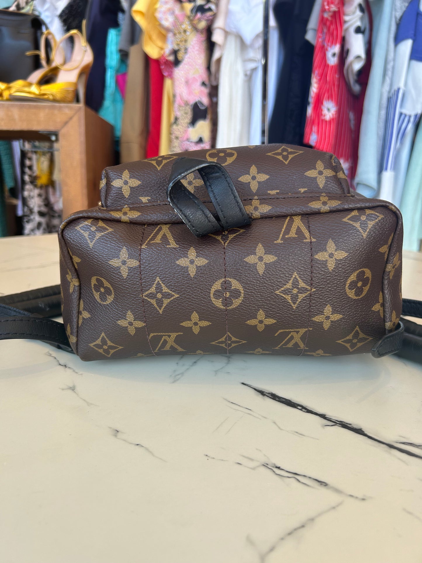 Louis Vuitton Monogram Palm Springs PM Backpack