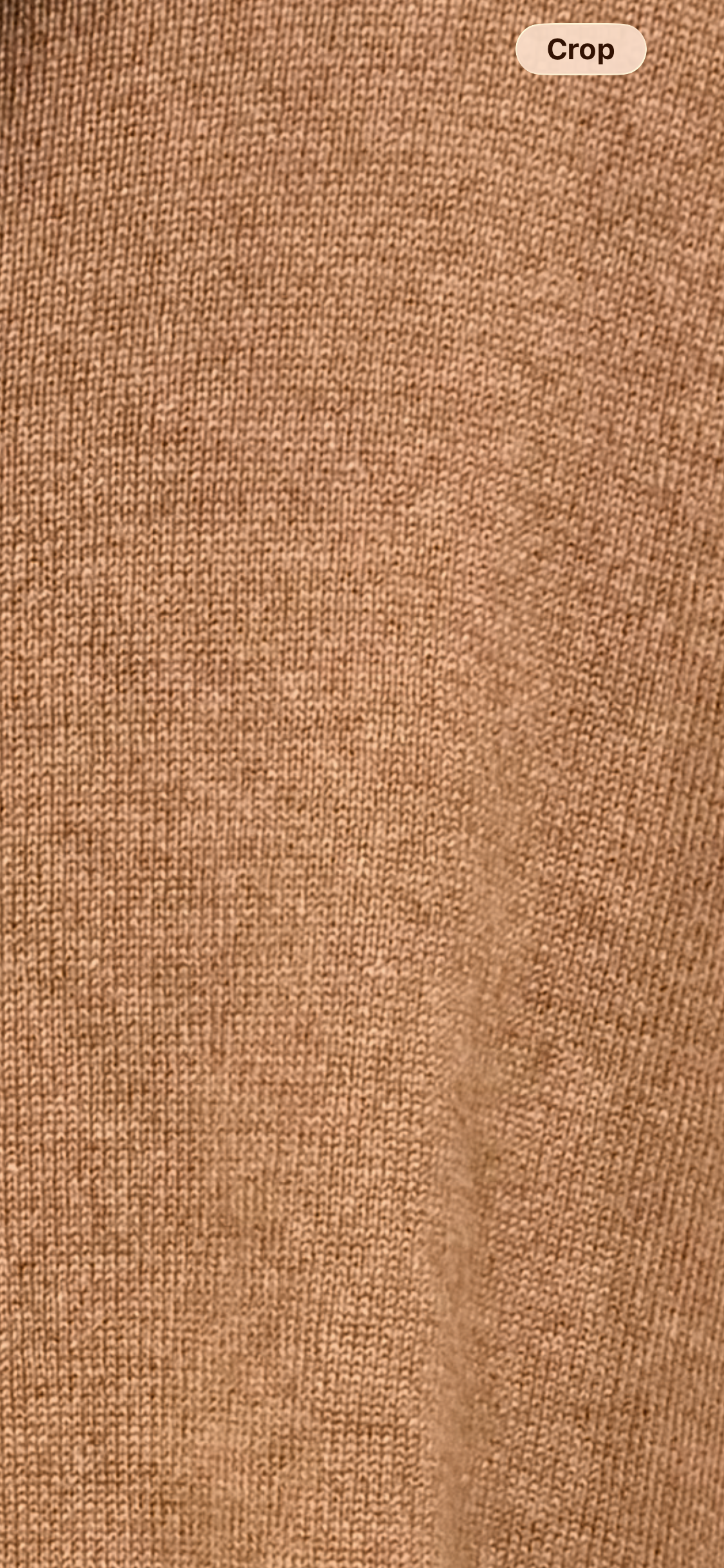 NEW* ESKANDAR Cashmere Rollneck Sweater - One Size