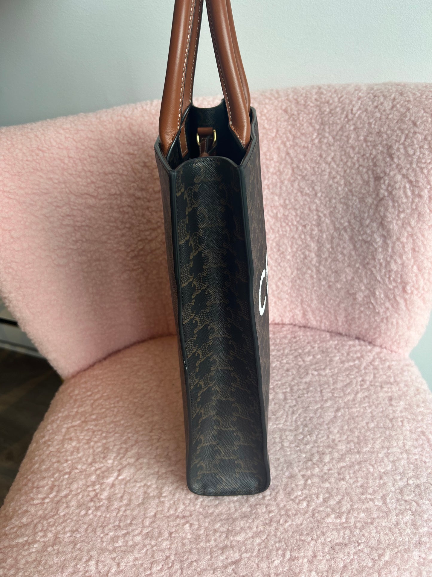 CELINE Small Triomphe Vertical Cabas Tote